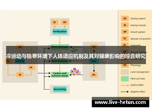 冷运动与极寒环境下人体适应机制及其对健康影响的综合研究